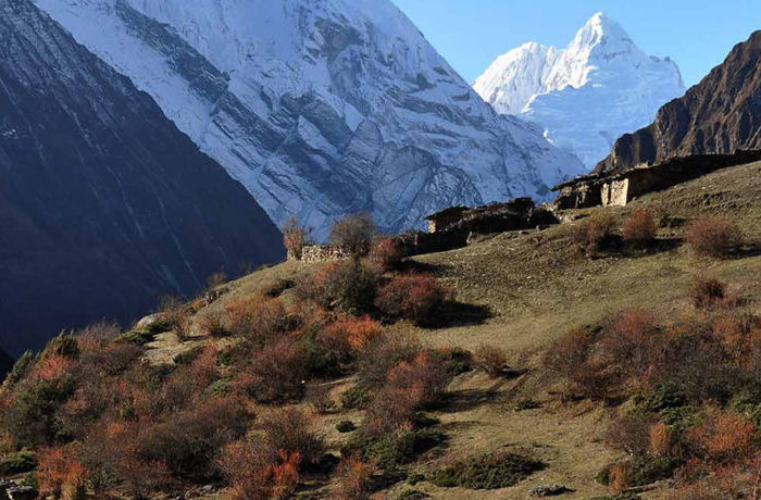 Arun Valley Trekking