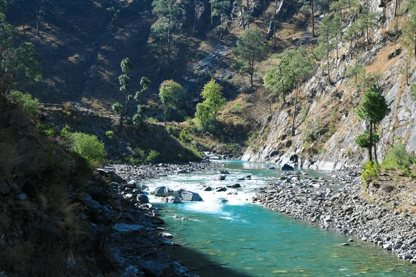 Scenic mountain river flowing through rocky terrain and pine forests along the Upper Dolpo Trek route in remote western Nepal.
