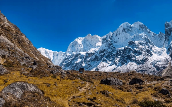 Breathtaking landscape of Mount Jannu and snowy peaks along the Kanchenjunga North Base Camp trek in Nepal.
